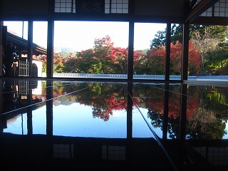 宝徳寺、床もみじの風景