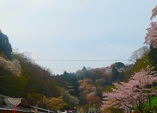 近鉄・吉野駅から下千本を望む風景