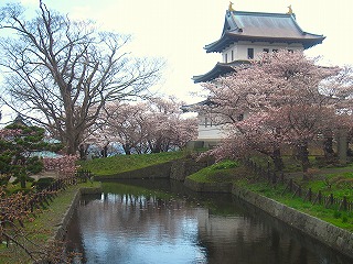 松前城、桜の咲く風景
