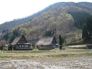 五箇山・菅沼合掌造り集落の風景
