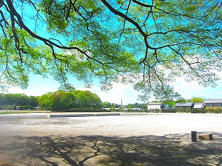 天平の丘公園・下野国分寺跡の風景