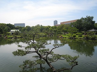初夏の清澄庭園の風景