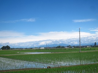 加須市街地郊外の田園風景
