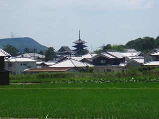 斑鳩の里、法隆寺を望む風景