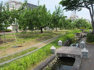 飯田市街地、並木通りの風景