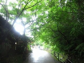 大原の里、三千院への参道の風景