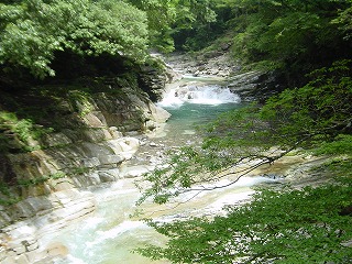 晩夏の面河渓、成熟した緑の風景