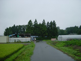 仙台平野、イグネの風景