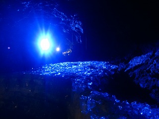 富士山麓・鳴沢氷穴の風景
