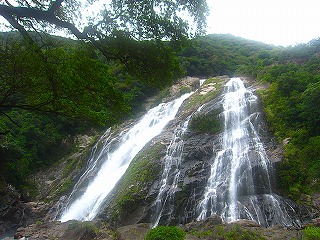 屋久島、大川の滝の風景