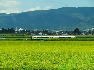会津盆地の田園を行く只見線の列車の風景