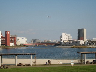 大森ふるさとの海浜公園の風景