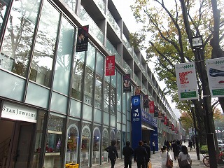 表参道、初冬の風景