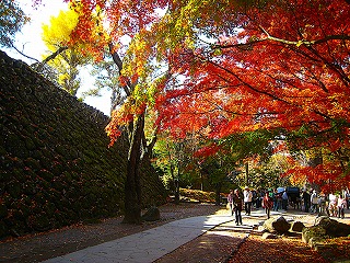 小諸城址懐古園・紅葉の風景