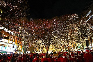 震災の年のSENDAI光のページェントの風景