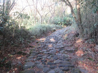 旧東海道、箱根時の石畳の風景