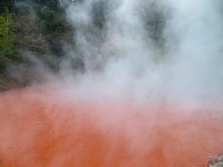 別府地獄めぐり・血の池地獄の風景
