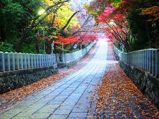 向日神社参道の風景