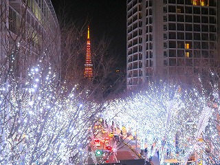六本木ヒルズけやき坂イルミネーションの風景