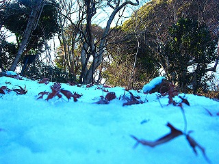 京王百草園、残雪のある風景