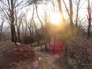 冬の金山、西山ハイキングコースの夕景