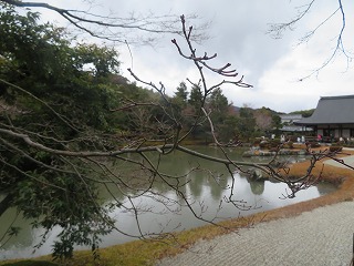 天龍寺・曹源池庭園、冬芽の枝越しの風景