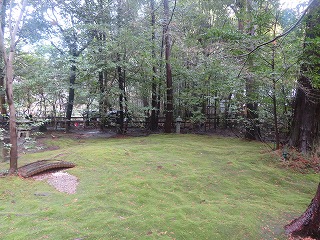 野宮神社、冬の苔の庭の風景