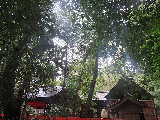 野宮神社、冬のやわらかな光の射す風景