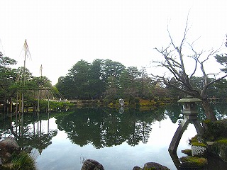 兼六園、徽軫（ことじ）灯籠と雪吊りの見える風景